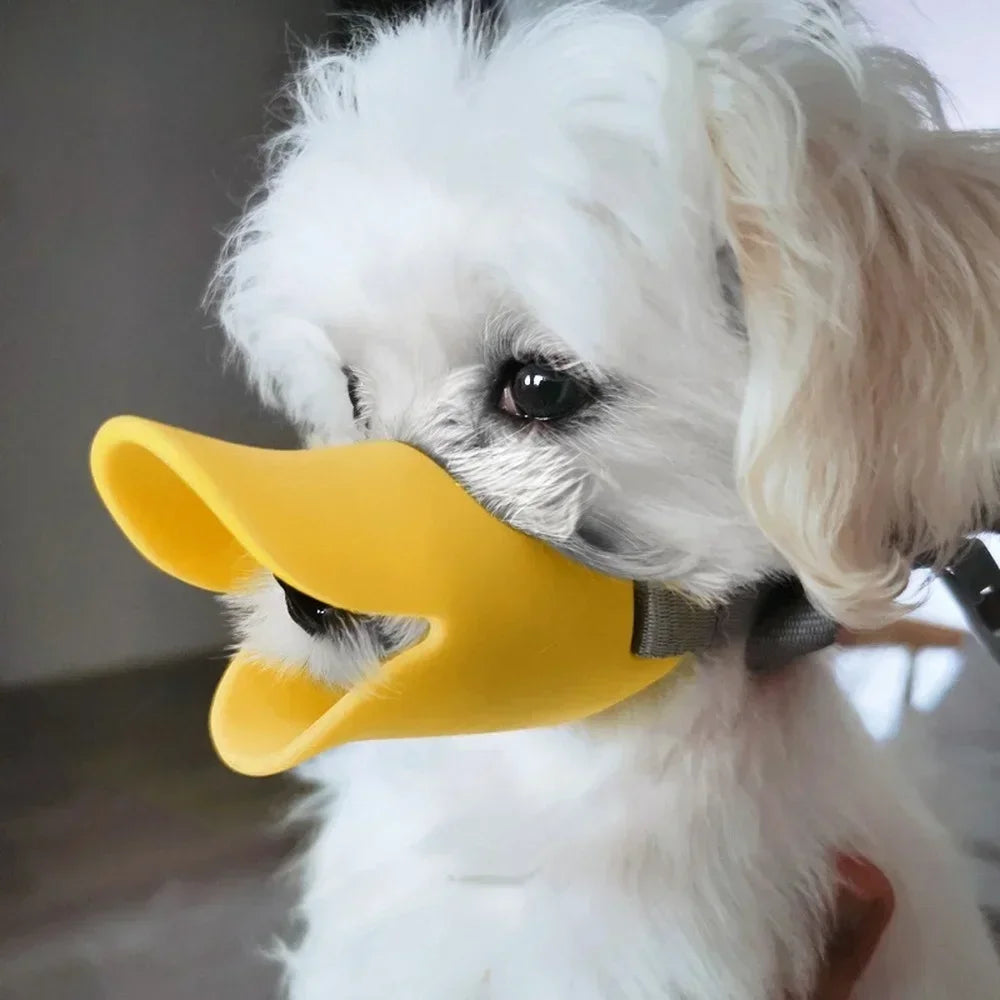 QuackGuard