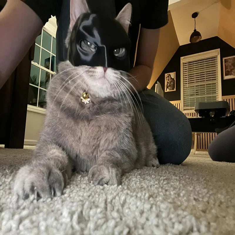  BatCat 