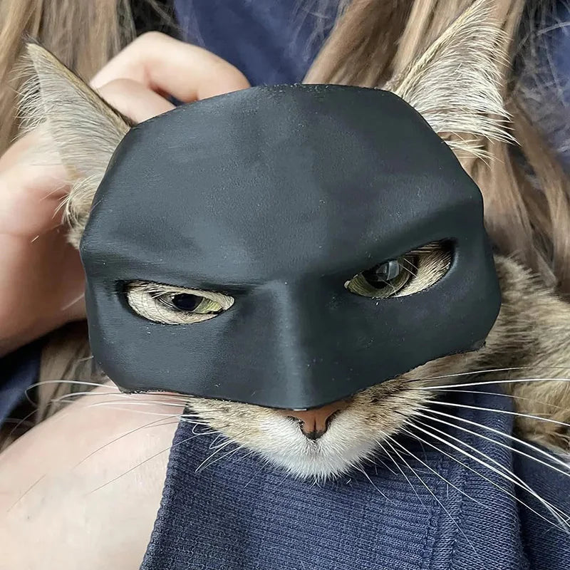  BatCat 