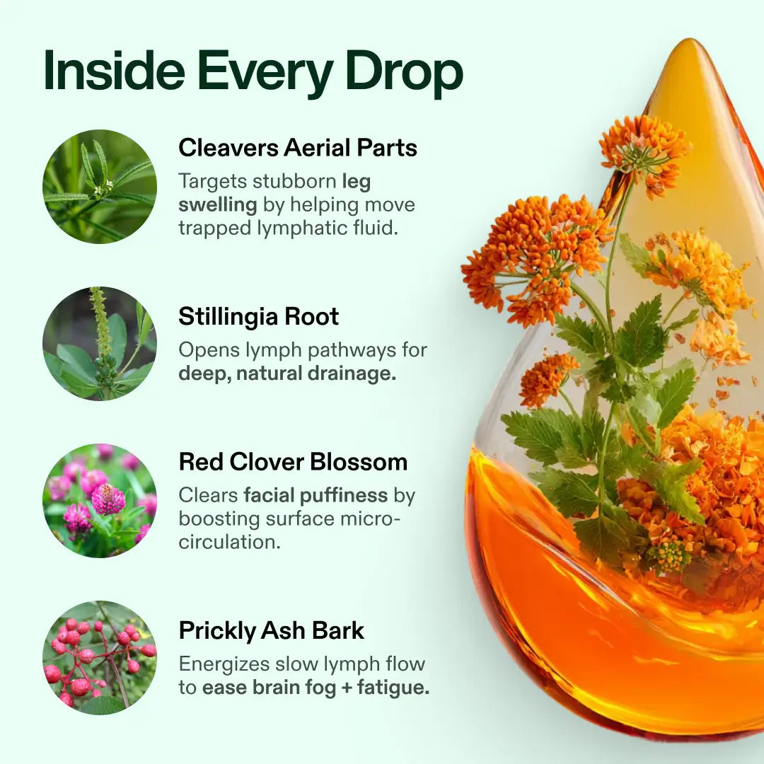 Brandify Flow Drops brandify